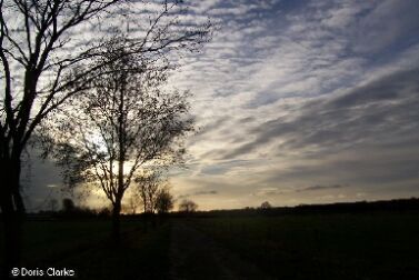 f_n_2006_100_5807